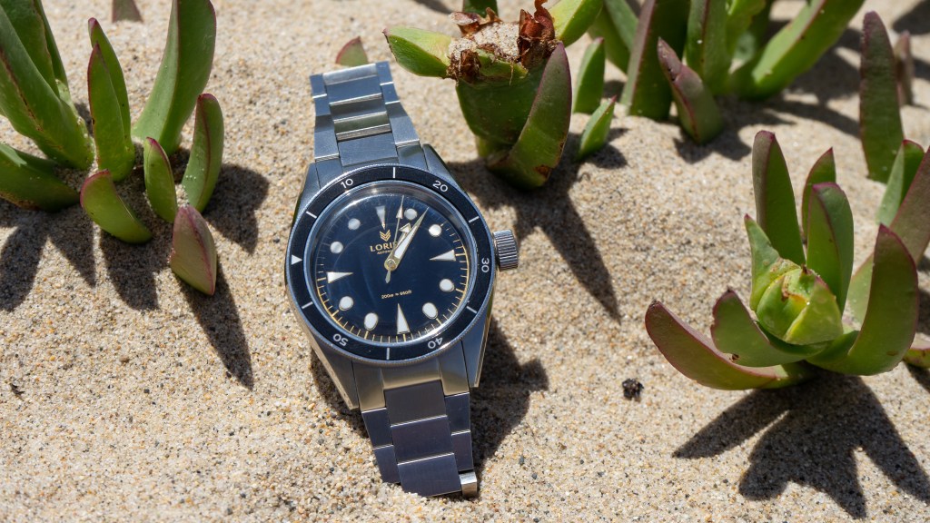 A day at the beach with the Lorier Neptune&nbsp;V3